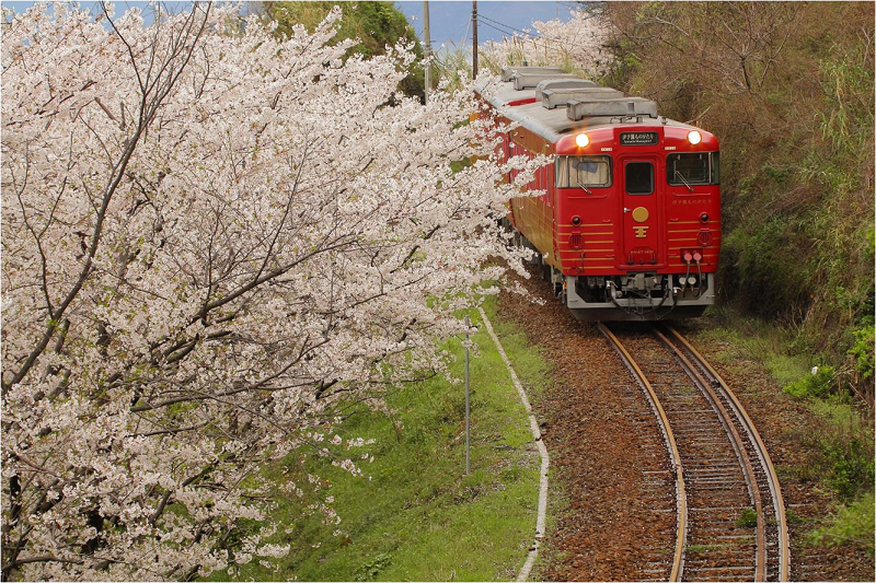 優雅なひととき 貸切観光列車 伊予灘ものがたり 双海編 と 道後温泉 満喫の旅 宇和島自動車 優雅なひととき 貸切観光列車 伊予灘ものがたり 双海編 と 道後温泉 満喫の旅 宇和島自動車
